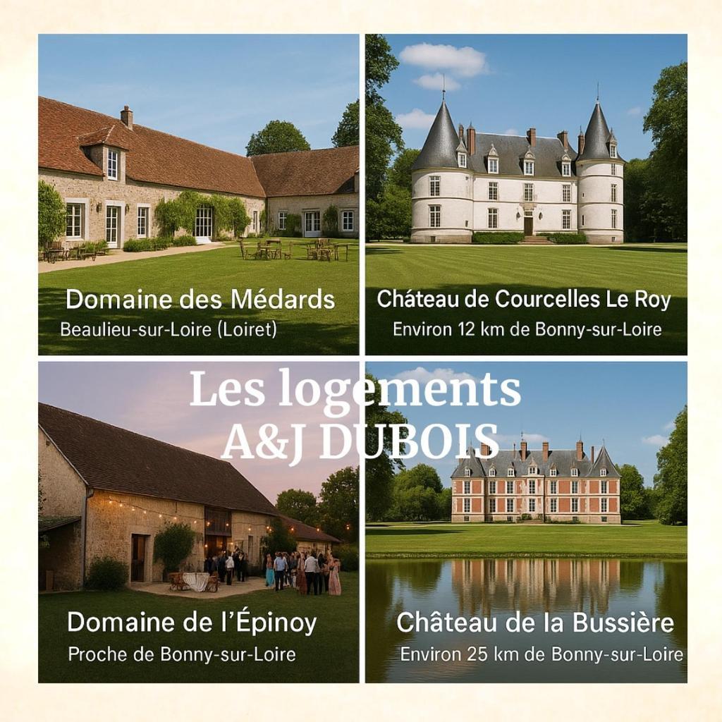A&j - Sur Loire -chateaux De Guedelon- Pont Canal * Bonny-sur-Loire